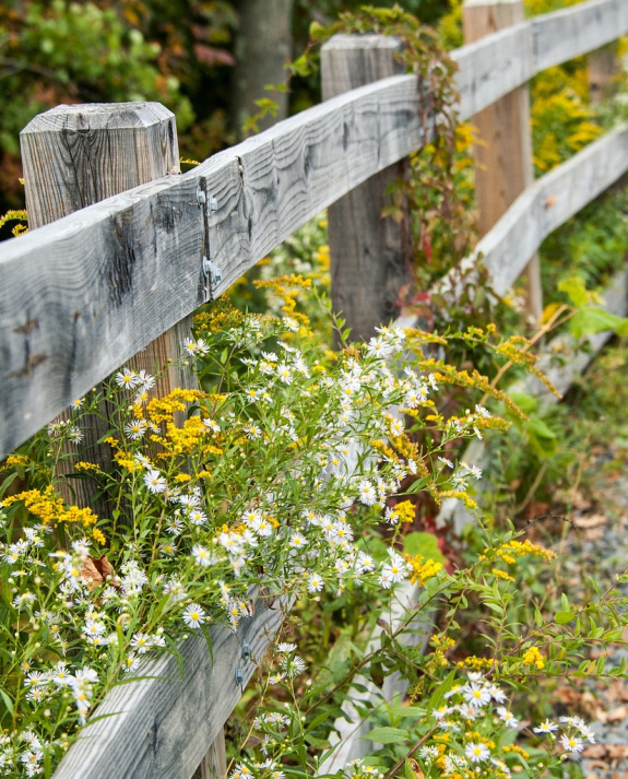 Hegytetőn (részlet)